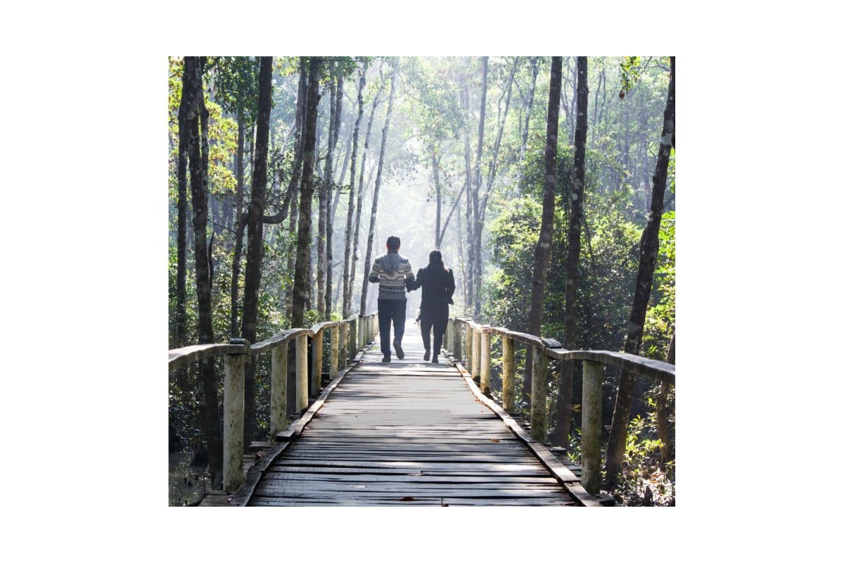 Alsace Adventure Park