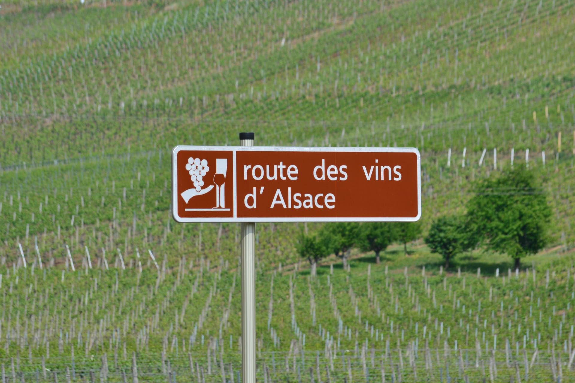 Route des Vins d'Alsace