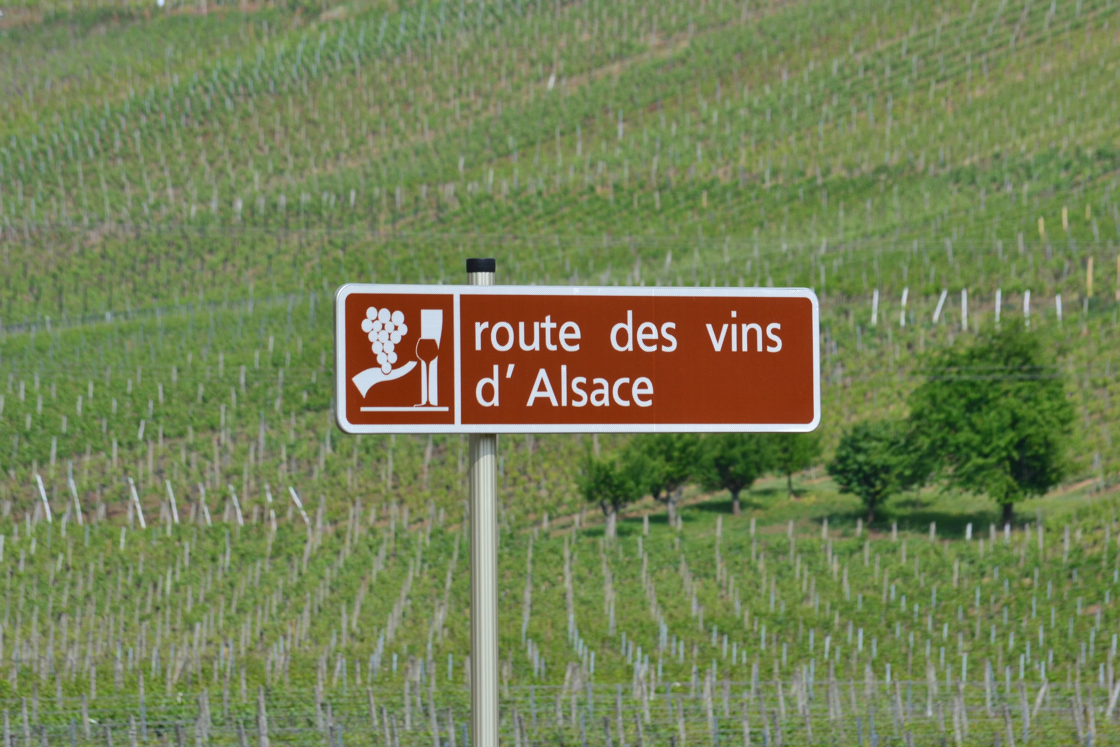 Route des Vins d'Alsace