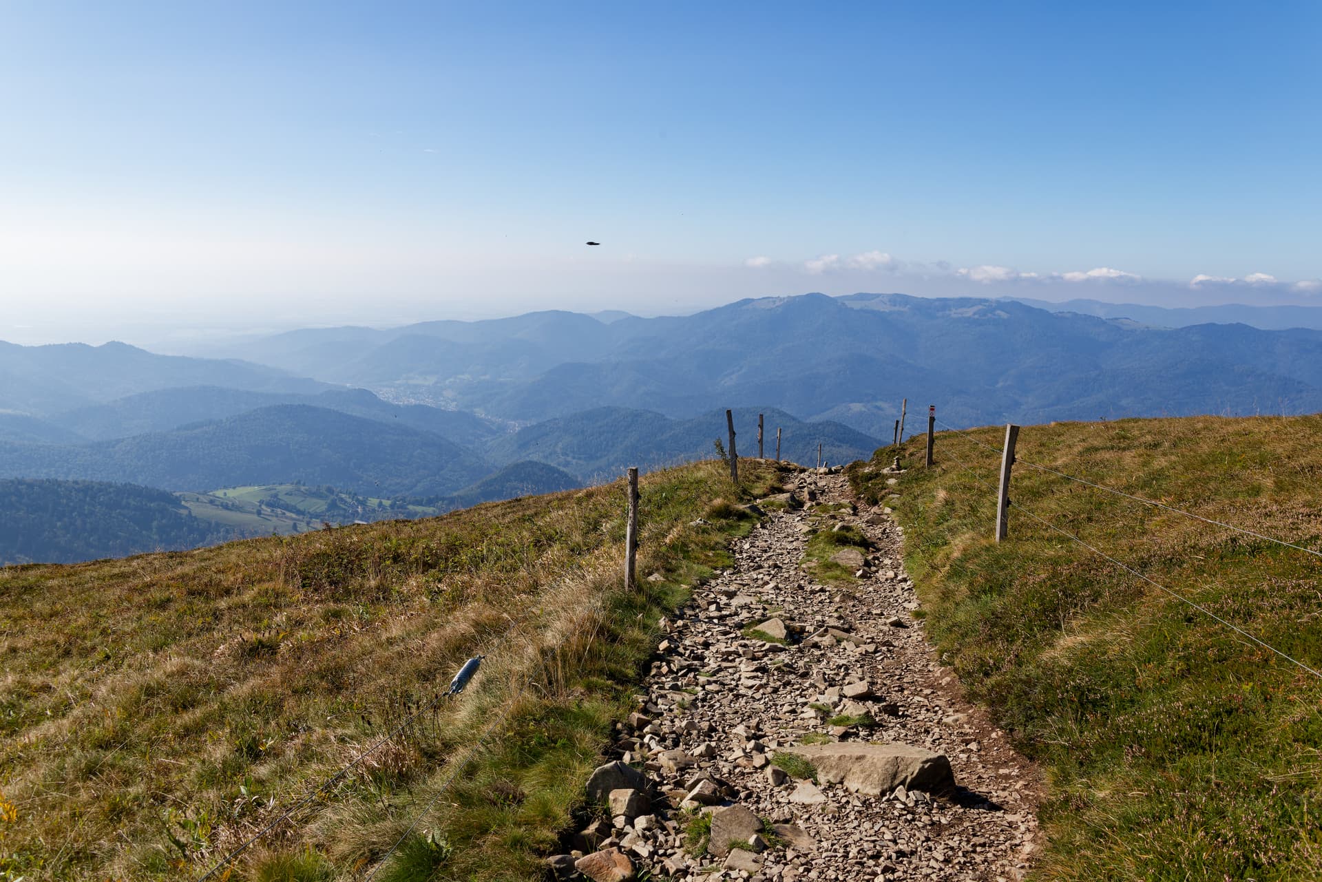 Grand Ballon — Sommet des Vosges