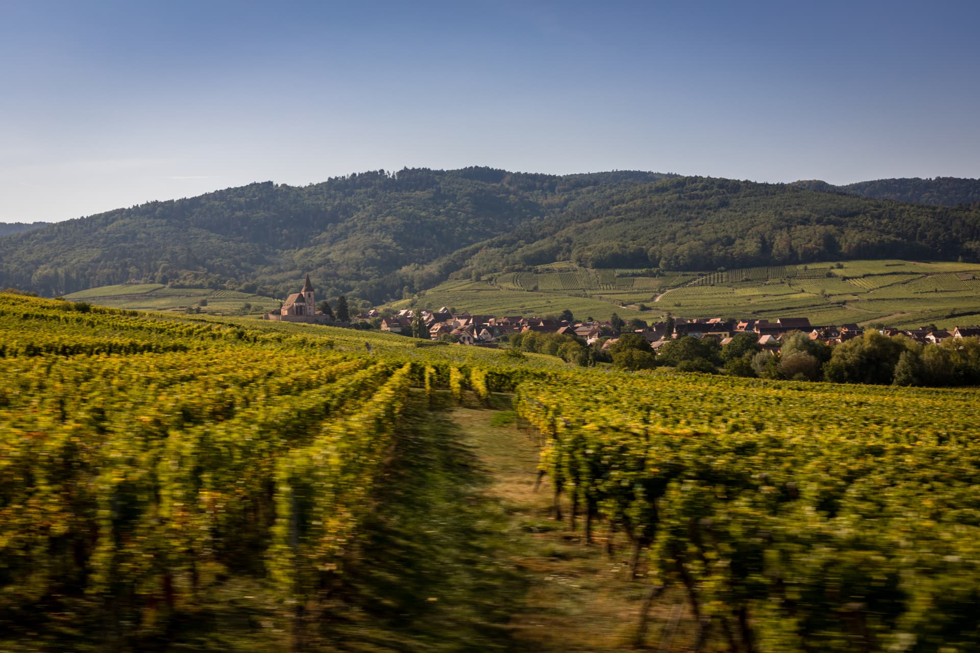 Alsace Vineyard Cycle Route